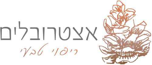 איצטרובלים - לוגו, חנות לריפוי טבעי , בריאות וצמיחה אישית - ליאת פדובה