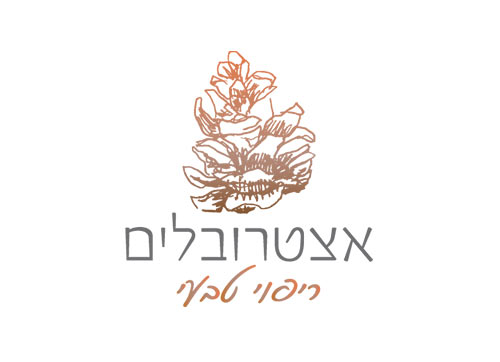 אצטרובלים- מוצרי ריפוי וטיפוח טבעיים