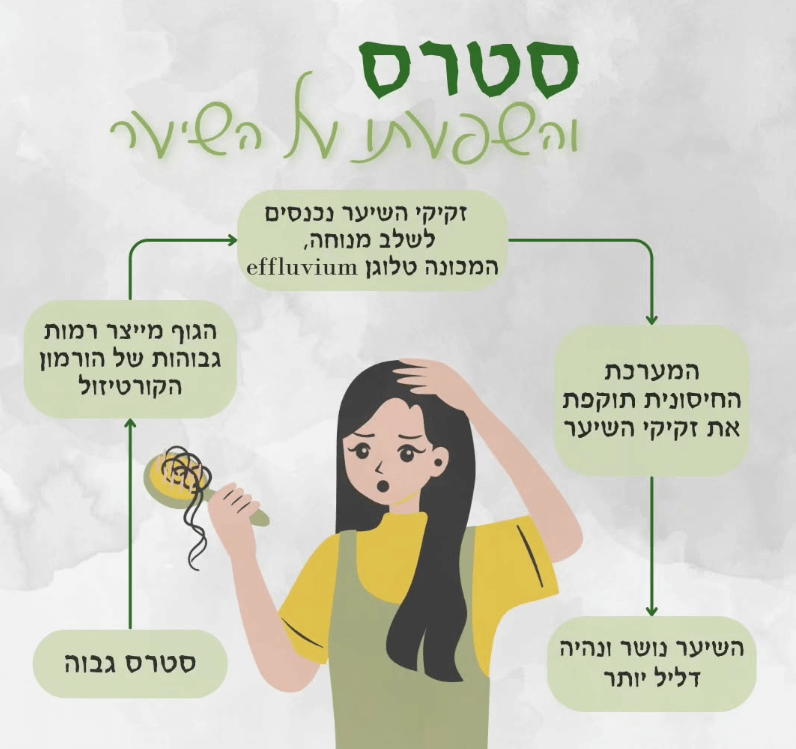 סטרס והשפעתו על השיער - לחץ גורם לגוף לייצר הורמונים הגורמים לשערה לצמוח פחות